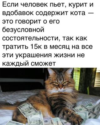 Прикрепленное изображение: Кот.jpg